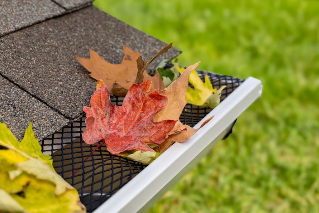 gutter screens Close-up of a house gutter with a black mesh guard, covered with colorful autumn leaves, next to brown roof shingles and a grassy background.