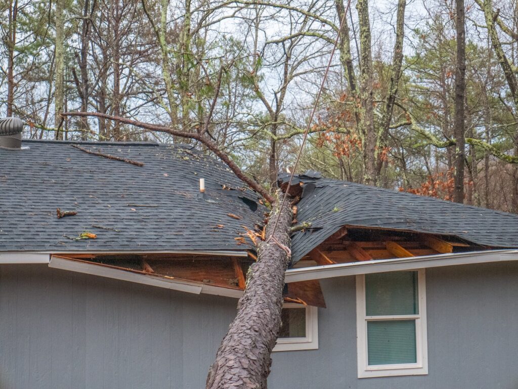 A large tree has fallen onto the roof of a house, causing significant damage and breaking through the roof and eaves. The surrounding area is wooded with trees and overcast skies.